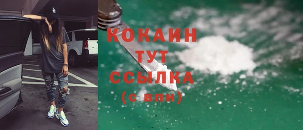 твердый Алзамай