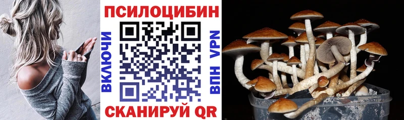 Галлюциногенные грибы мухоморы  купить наркотик  Межгорье 